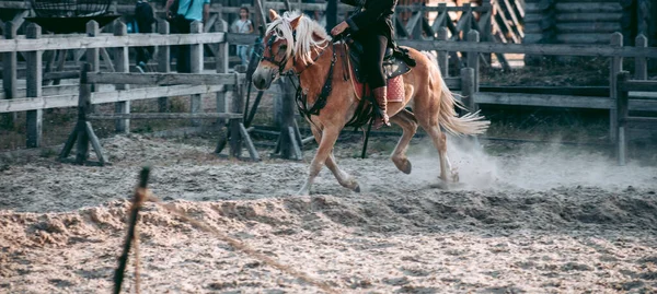 Uomo Cavallo Abiti Medievali — Foto Stock