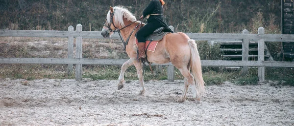 Uomo Cavallo Abiti Medievali — Foto Stock