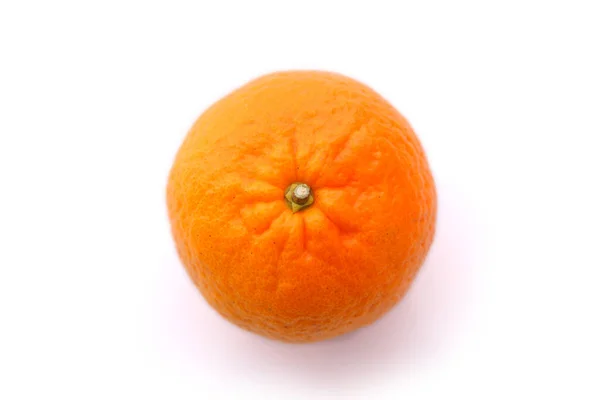 白底柑橘 — 图库照片