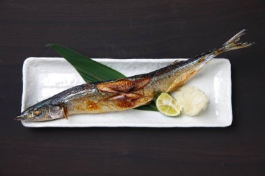 Kızarmış saury nigiri sushi