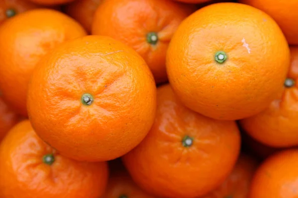 Laranja Fresco Citrinos Fundo Tankan — Fotografia de Stock