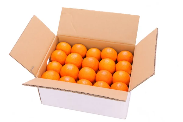 Citrus Tankan Kartong — Stockfoto