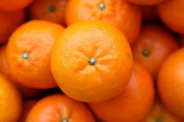 Laranja Fresco Citrinos Fundo Tankan — Fotografia de Stock