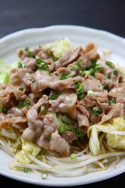 Japon kızartması et ve sebze.