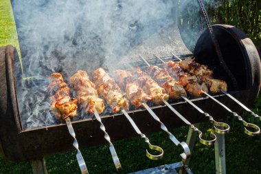 yaz barbekü ızgara et. sarımsak, soğan ve baharat ve ot ile taze et