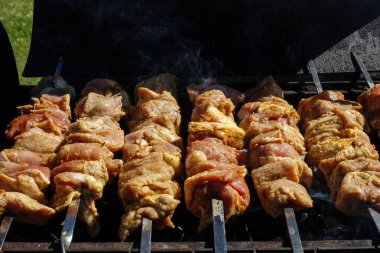 yaz barbekü ızgara et. sarımsak, soğan ve baharat ve otlar ile taze et