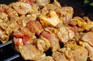 yaz barbekü ızgara et. sarımsak, soğan ve baharat ve otlar ile taze et