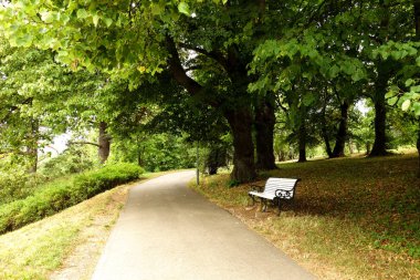 bir meşe ağacının altında bir parkta tezgah. toila estonya, oru park      
