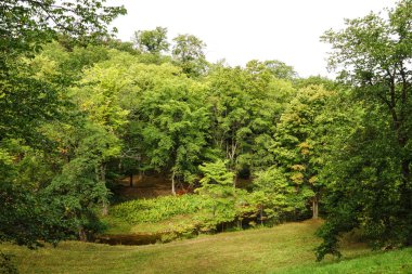 oru parkta ormanda nehir, toila, estonya