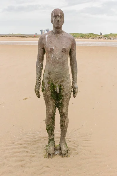 Antony Gormley 'den bir başka Place sanat kurulumu