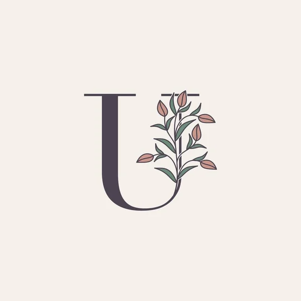 华丽的首字母U标志图标 矢量字母与花卉和自然叶夹艺术设计 — 图库矢量图片