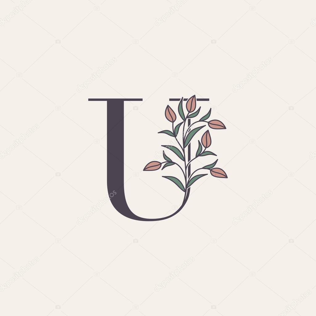 Ornate Initial Letter U logo icon, vector letter with flower and natural leaf clip art designs.