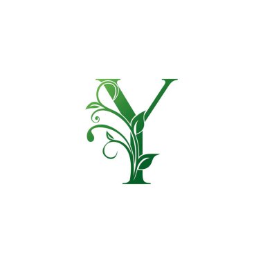 Yeşil Süslü Çiçek Harfi Y logosu, Lüks alfabe yazı tipi ilk vektör tasarımı beyaz arkaplan renginde izole edildi.