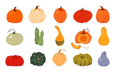 Sonbahar balkabağı portakalı düz Şükran Günü vektörü