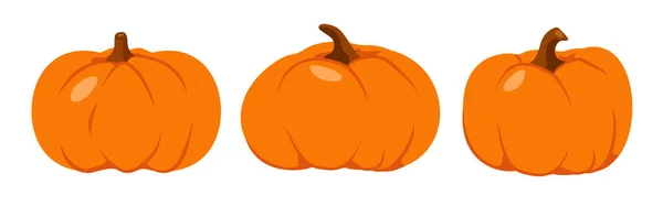 Ensemble vecteur Thanksgiving plat orange citrouille d'automne — Image vectorielle