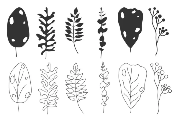 Tropisch blad silhouet contour bloemen vector set — Stockvector