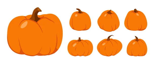 Ensemble vecteur Thanksgiving plat orange citrouille d'automne — Image vectorielle