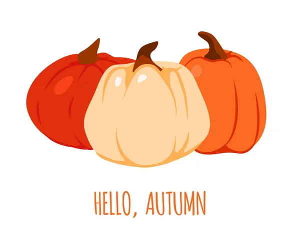 Tarjeta de calabaza de otoño Acción de Gracias vector de primer plano — Archivo Imágenes Vectoriales