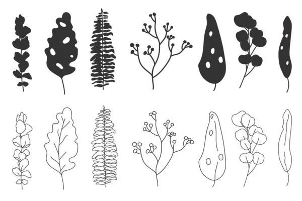 热带叶型轮廓线植物病媒集 — 图库矢量图片