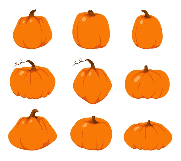 Autumn pumpkin orange flat Thanksgiving vector set — Stock Vector