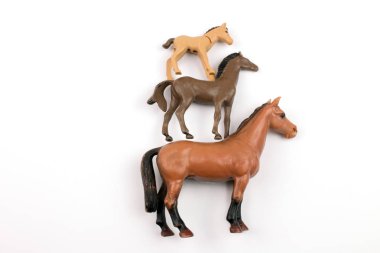 close-up shot of toy plastic horses in various sizes on white background