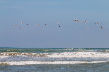 Dalgalar deniz mavi gökyüzü altında