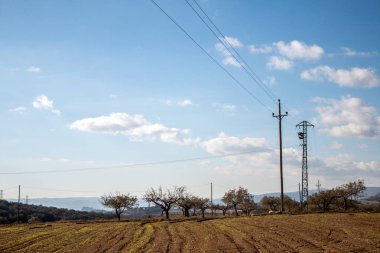 Yel değirmeni ve kırsal ağaçta.