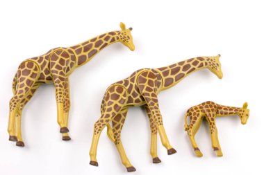 close-up shot of toy plastic giraffes on white background