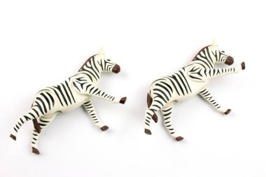 close-up shot of toy zebras on white background