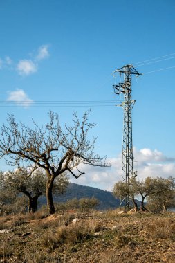Yel değirmeni ve kırsal ağaçta.