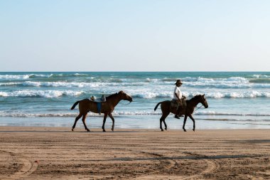 Güneşli bir günde plajda ata binen adam.
