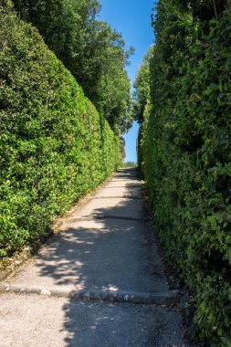 Boboli Bahçeleri. Floransa İtalya.