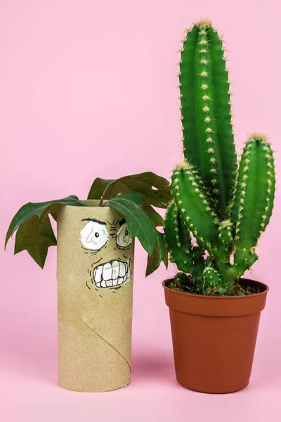 Prázdné Roll Koupelny Papír Legrační Obličej Poblíž Cactus Izolované Růžové — Stock fotografie