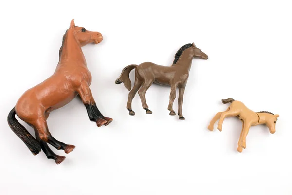 Close Shot Toy Plastic Horses Various Sizes White Background — Stok fotoğraf