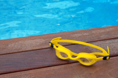 Sarı havuzu gözlükler, yakın çekim