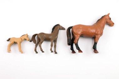 close-up shot of toy plastic horses in various sizes on white background