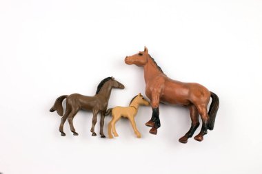 close-up shot of toy plastic horses in various sizes on white background
