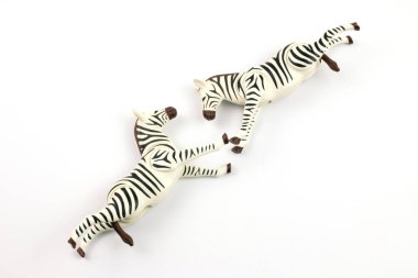 close-up shot of toy zebras on white background