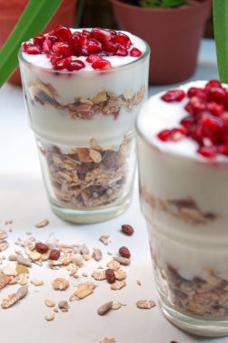 lezzetli yoğurt ve granola Kupası