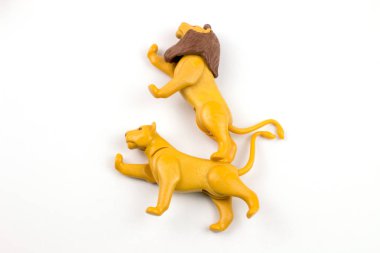 close-up shot of plastic toy lions on white background