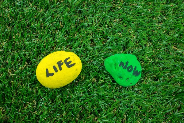 Rocas Pintadas Con Palabras Sobre Hierba Verde —  Fotos de Stock