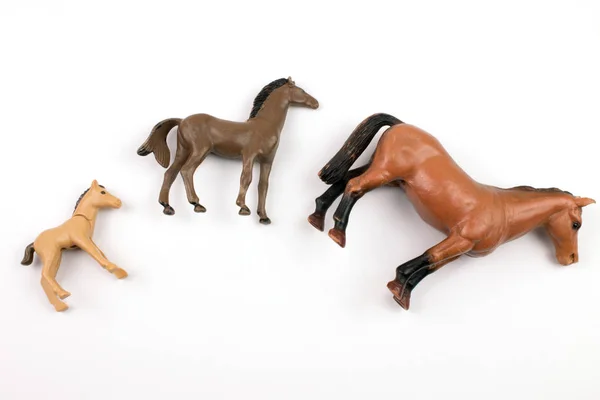 Close Shot Toy Plastic Horses Various Sizes White Background — Stok fotoğraf