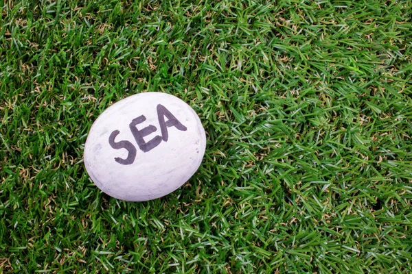 Beach Rock Painted with a Positive Note.