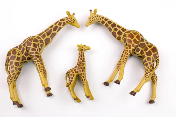 Nahaufnahme Von Spielzeug Giraffen Aus Kunststoff Auf Weißem Hintergrund — Stockfoto