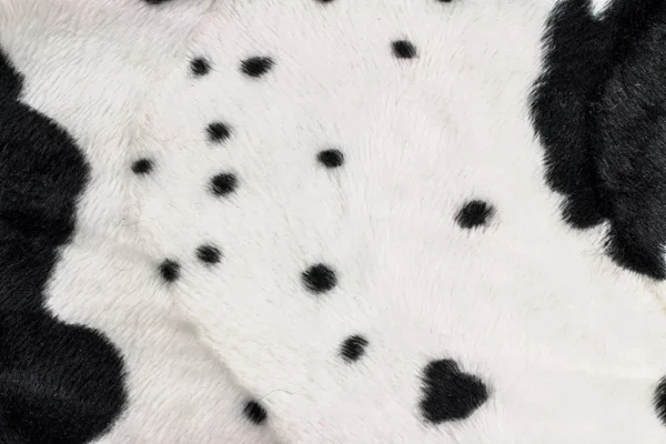 Texture Vache Noire Blanche Imprimer Tissu — Photo