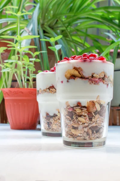 delicious yogurt and granola cup