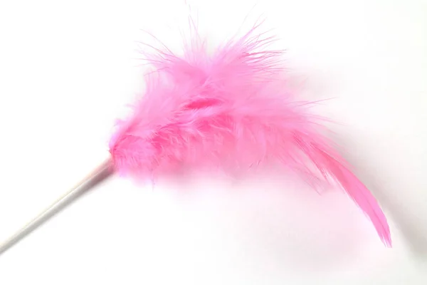 白い背景に隔離されたピンクの羽のクローズアップショット — ストック写真