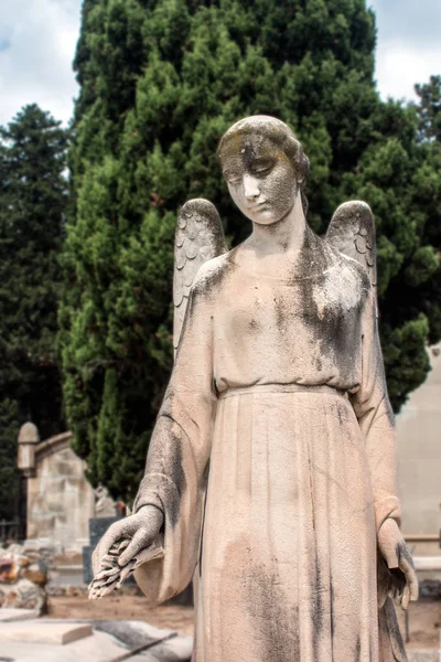 Каменный Ангел Надгробии Кладбище — стоковое фото