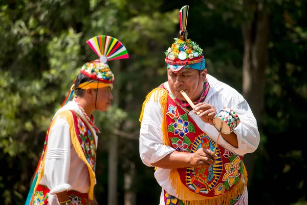 Mexikó 2018 Július Papantla Szórólapok Rituális Repülés Végrehajtása — Stock Fotó