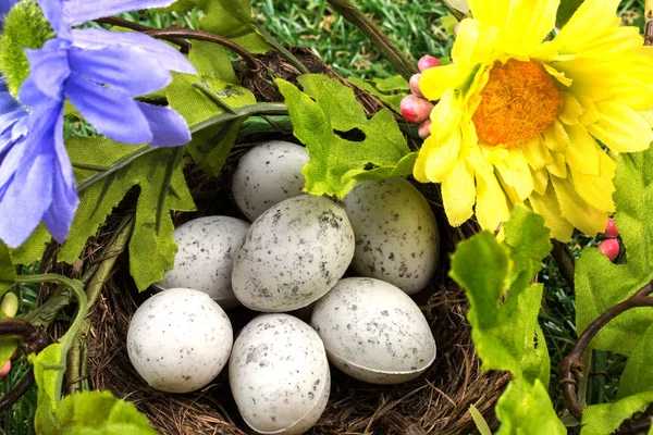Easter Quail Eggs Nest Green Grass Flowers — Stock Photo, Image